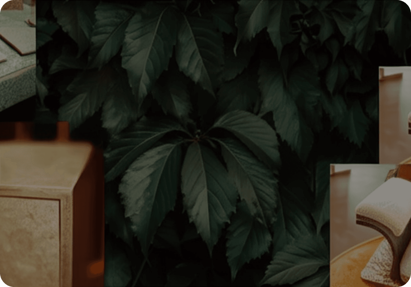 Environmental Advocate